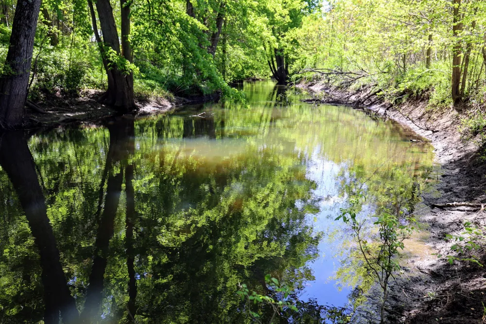 8 1/2 Mile Rd Burlington, MI 49029