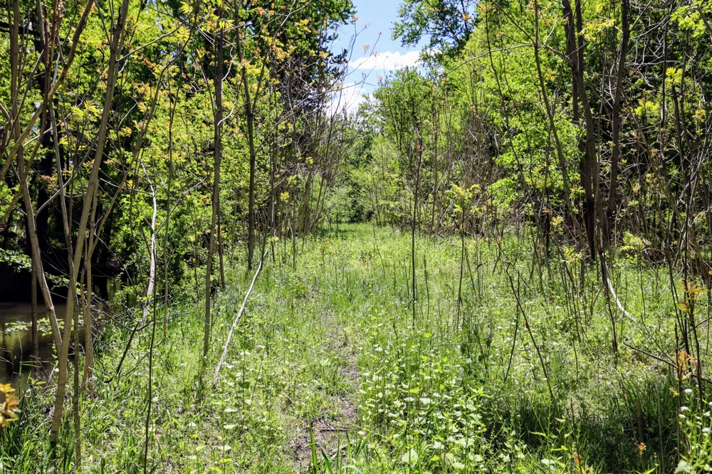 8 1/2 Mile Rd Burlington, MI 49029