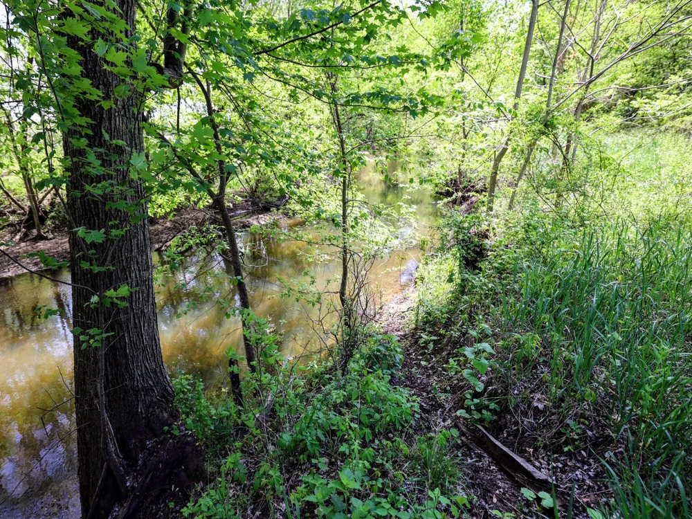8 1/2 Mile Rd Burlington, MI 49029