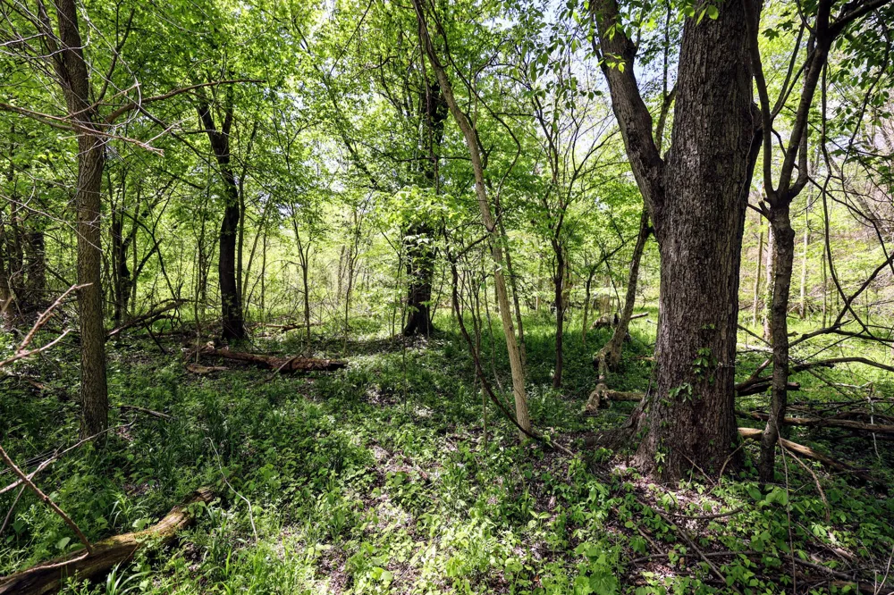 8 1/2 Mile Rd Burlington, MI 49029