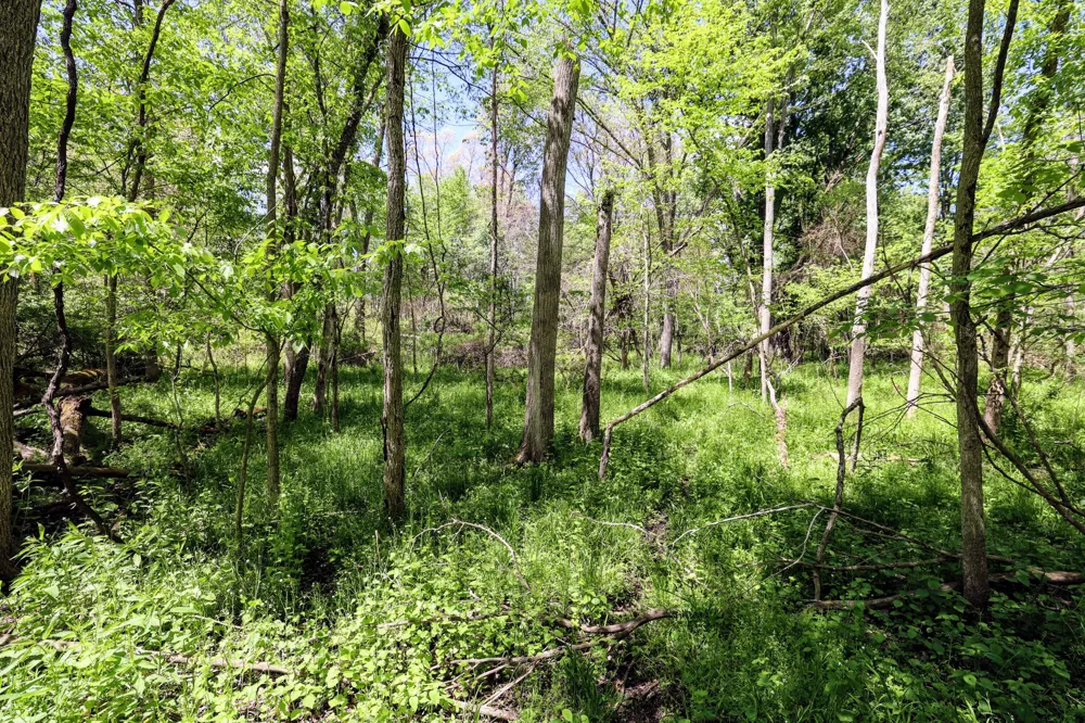 8 1/2 Mile Rd Burlington, MI 49029