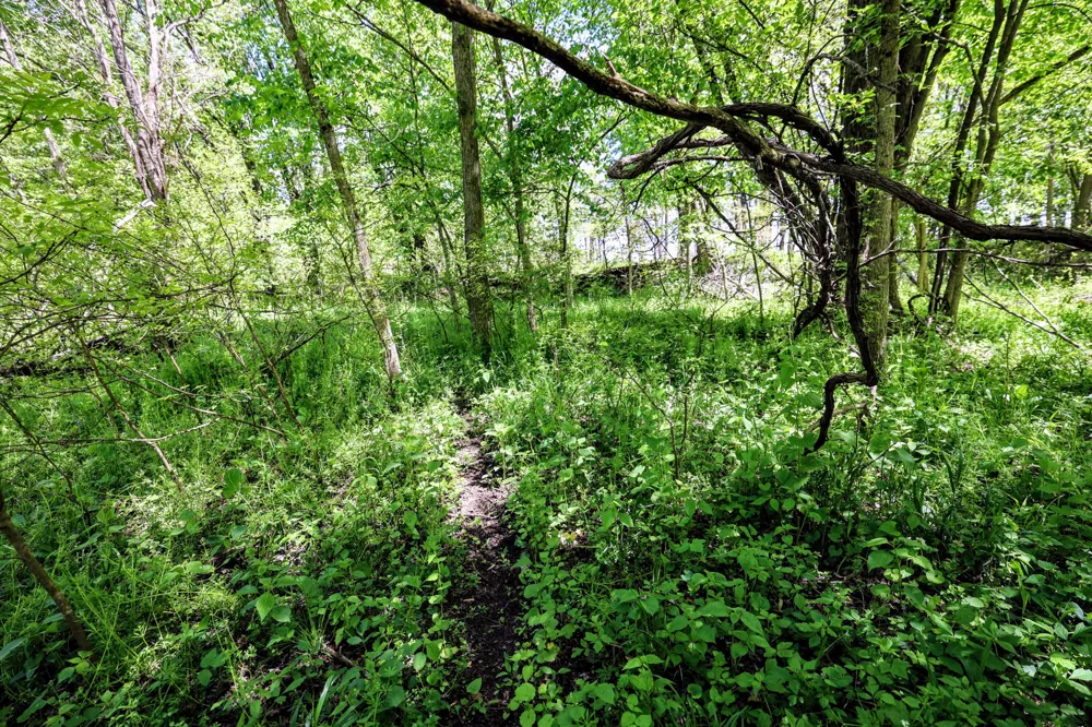 8 1/2 Mile Rd Burlington, MI 49029
