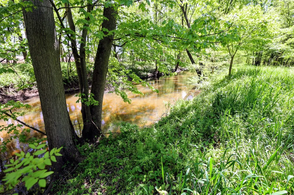 8 1/2 Mile Rd Burlington, MI 49029