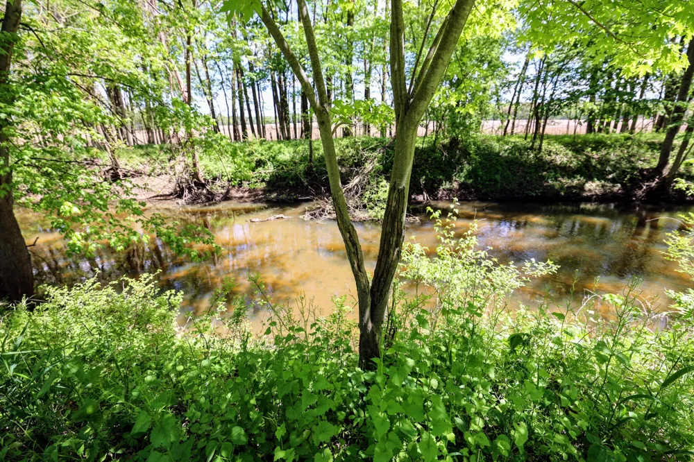 8 1/2 Mile Rd Burlington, MI 49029