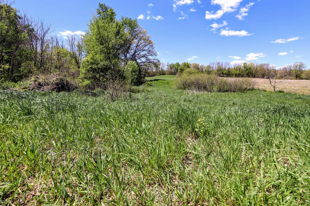 8 1/2 Mile Rd Burlington, MI 49029