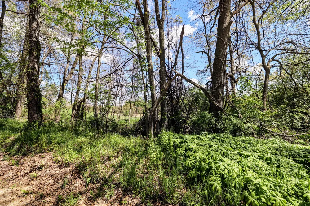 8 1/2 Mile Rd Burlington, MI 49029