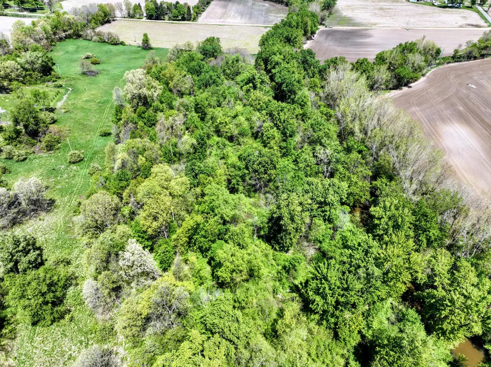 8 1/2 Mile Rd Burlington, MI 49029