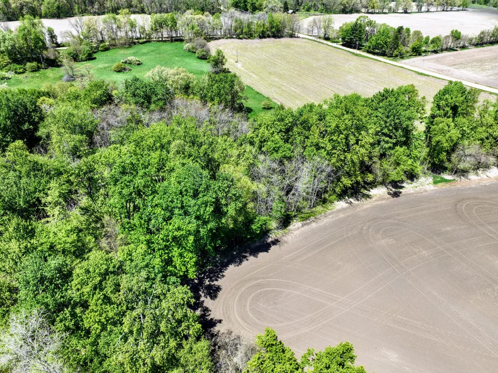 8 1/2 Mile Rd Burlington, MI 49029