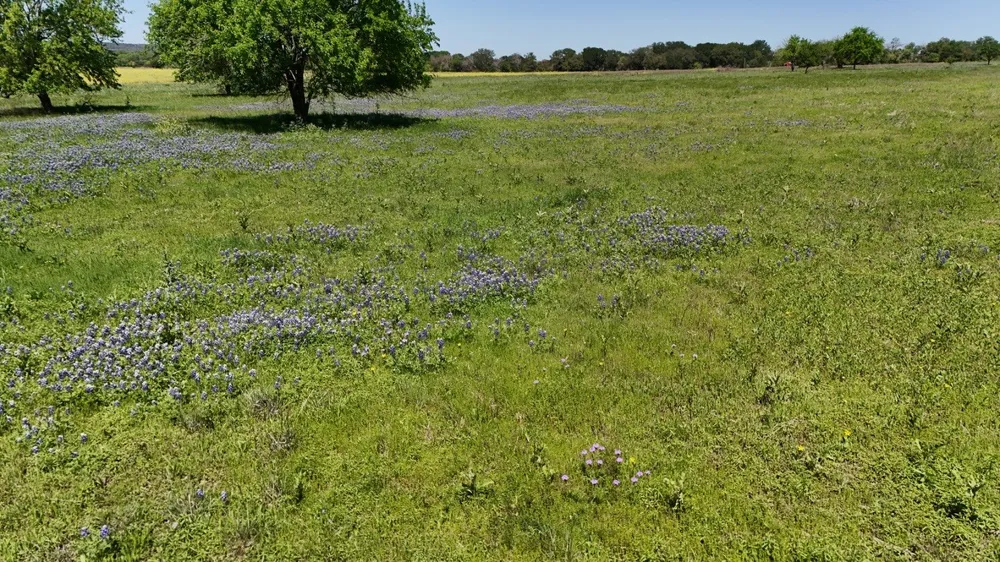 2031 County Road 3310 Valley Mills, TX 76689