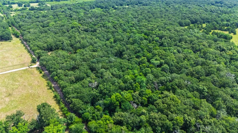 604 County Road 3561 Dike, TX 75437