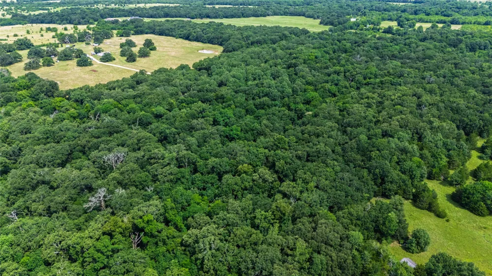 604 County Road 3561 Dike, TX 75437