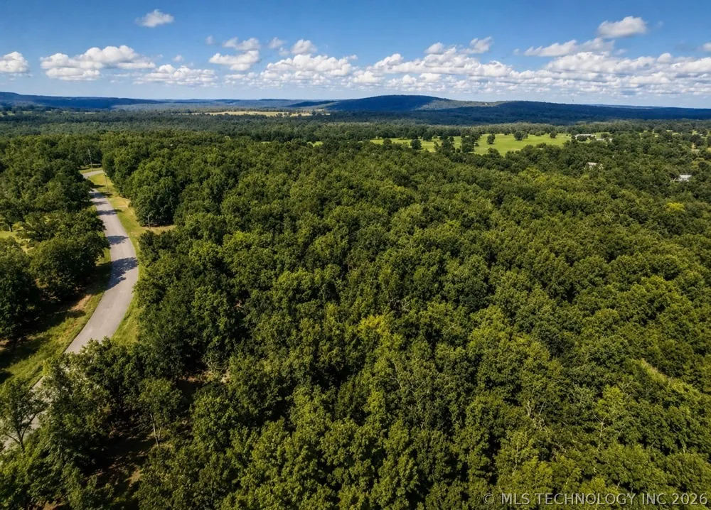 4547 ROAD Vian, OK 74962