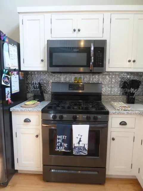 14376 Horn Drive Amboy Township, MI 49232