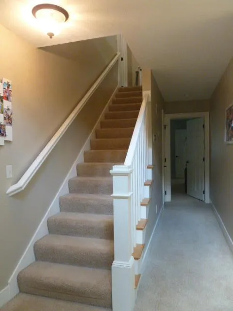 14376 Horn Drive Amboy Township, MI 49232