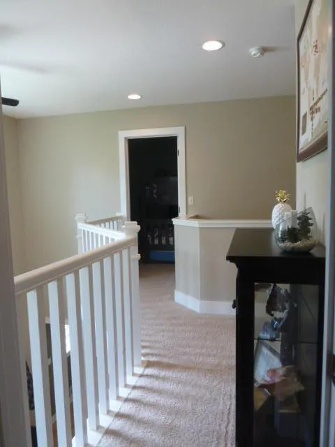 14376 Horn Drive Amboy Township, MI 49232