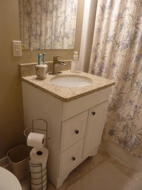 14376 Horn Drive Amboy Township, MI 49232