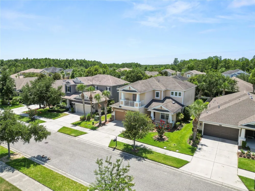 8775 SENTIERO DRIVE Land O Lakes, FL 34637