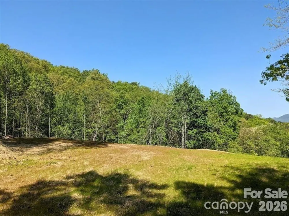 171 Nuthatch Lane #C-30 Black Mountain, NC 28711