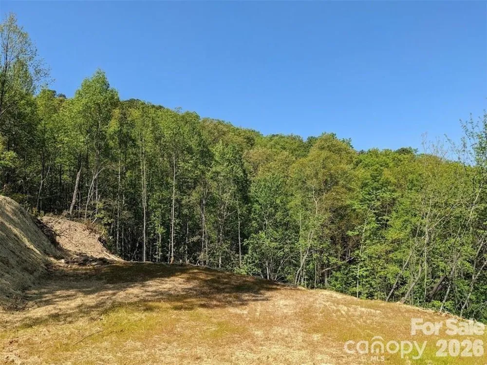 171 Nuthatch Lane #C-30 Black Mountain, NC 28711