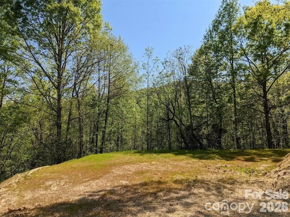 171 Nuthatch Lane #C-30 Black Mountain, NC 28711