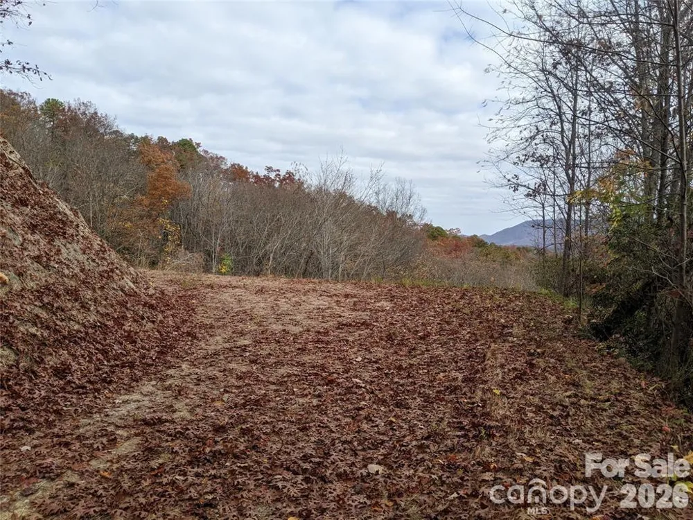 171 Nuthatch Lane #C-30 Black Mountain, NC 28711