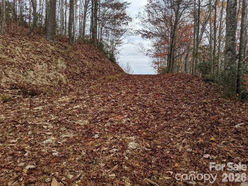 171 Nuthatch Lane #C-30 Black Mountain, NC 28711