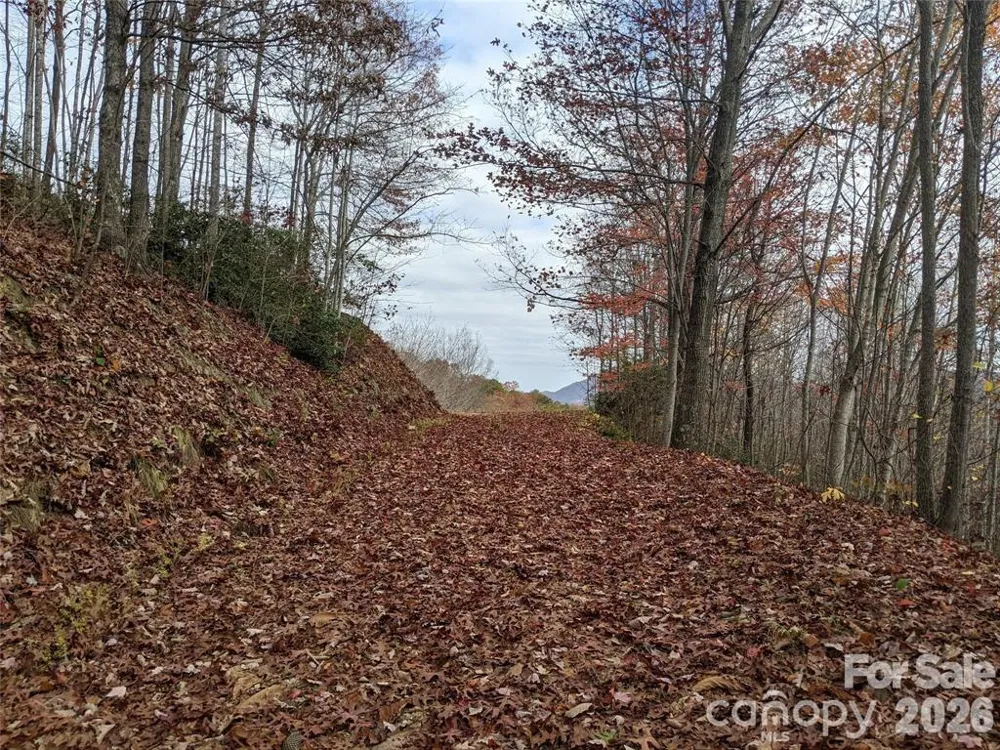 171 Nuthatch Lane #C-30 Black Mountain, NC 28711