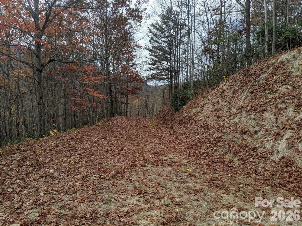 171 Nuthatch Lane #C-30 Black Mountain, NC 28711