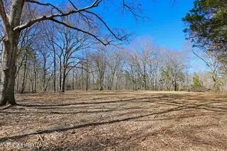 Northside Drive
