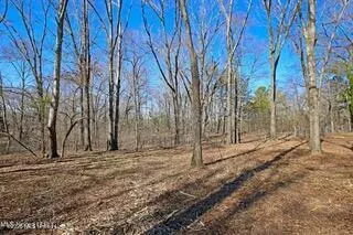 Northside Drive Clinton, MS 39056