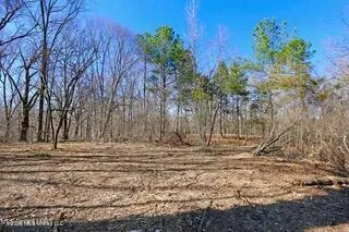Northside Drive Clinton, MS 39056