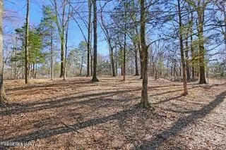 Northside Drive Clinton, MS 39056