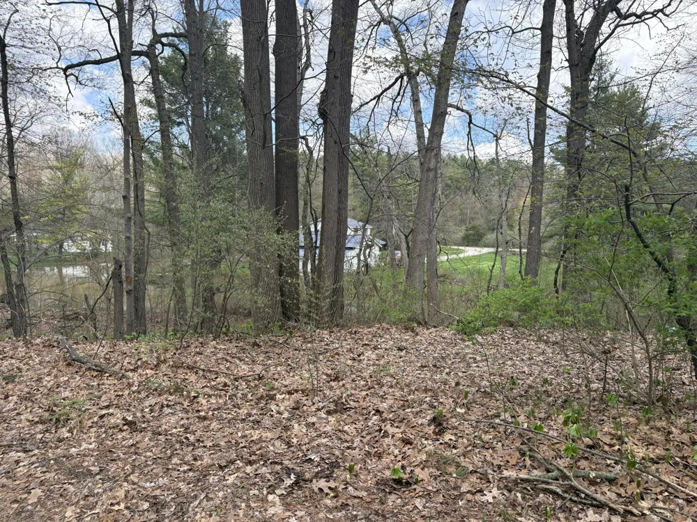 8091 Poplar Drive Reading, MI 49274