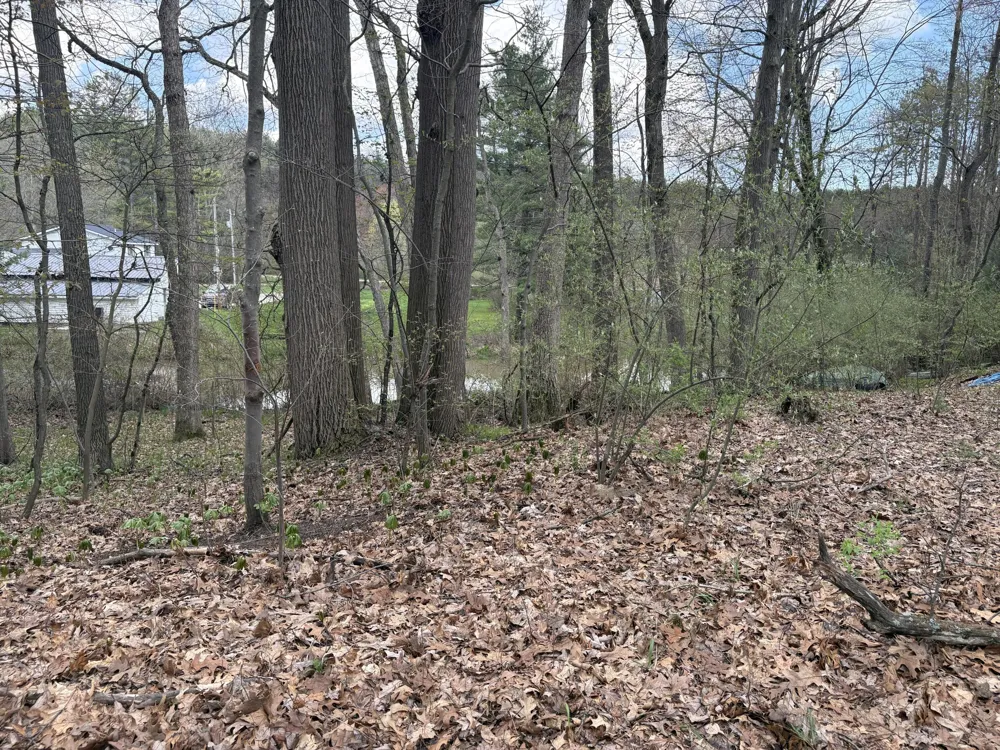 8091 Poplar Drive Reading, MI 49274