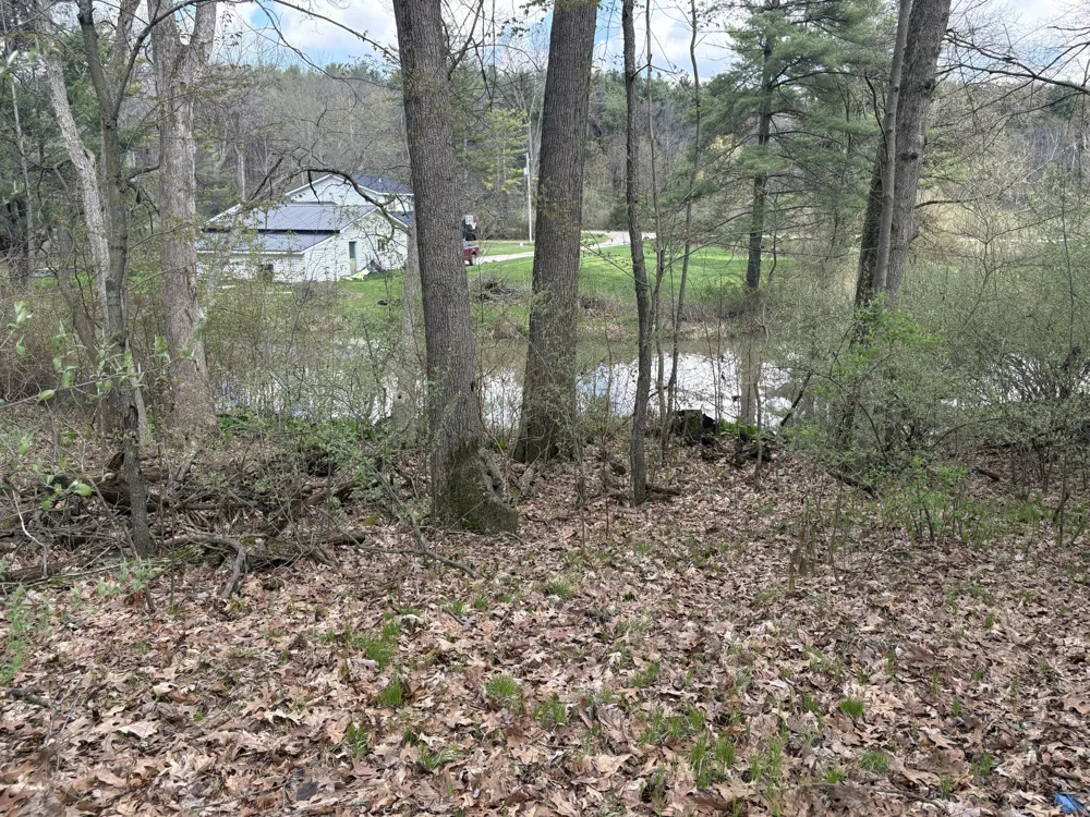 8091 Poplar Drive Reading, MI 49274