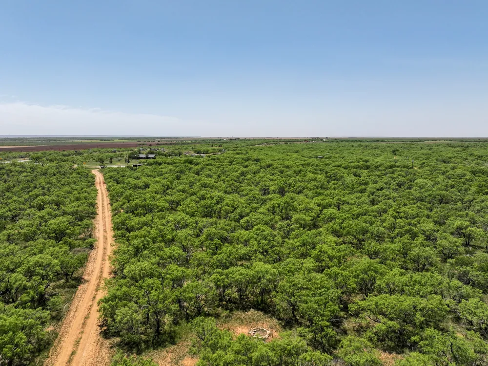 FM 1812 Hawley, TX 79525