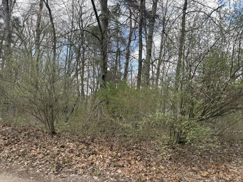 8113 Poplar Drive