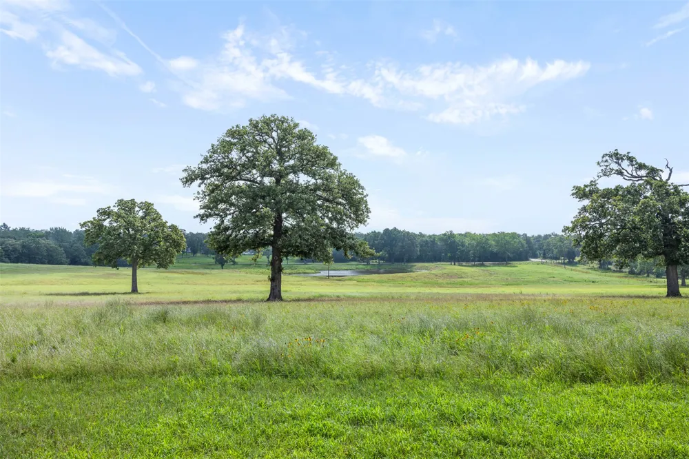 4503 County Road 308 Caldwell, TX 77836