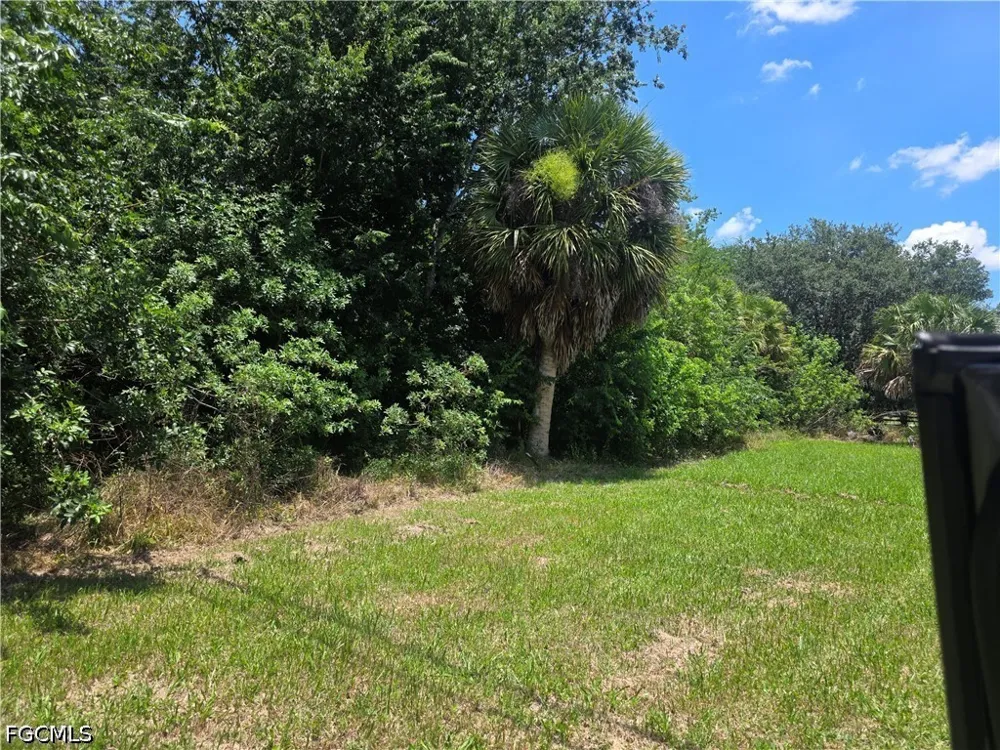 Jerdik Drive NE Moore Haven, FL 33471