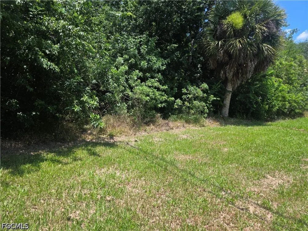 Jerdik Drive NE Moore Haven, FL 33471