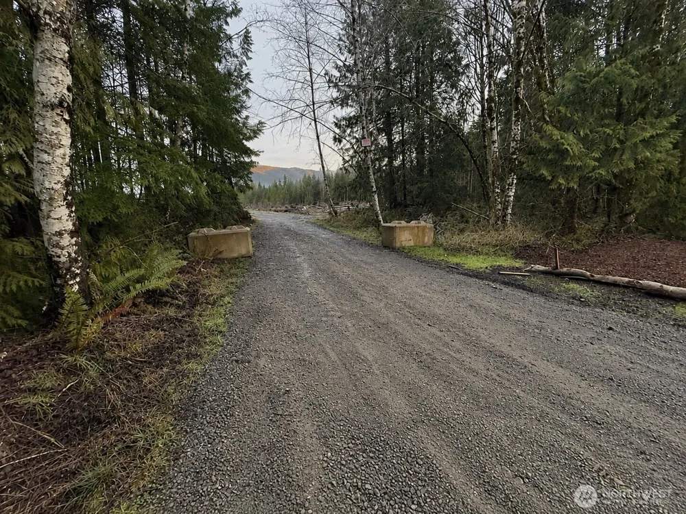 7507 Us Highway 101 Amanda Park, WA 98526