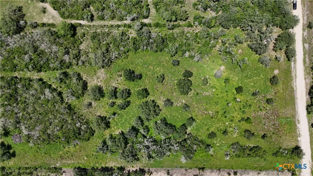 FM 1351 Goliad, TX 77963