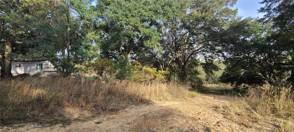 17105 SE 252ND AVENUE Umatilla, FL 32784