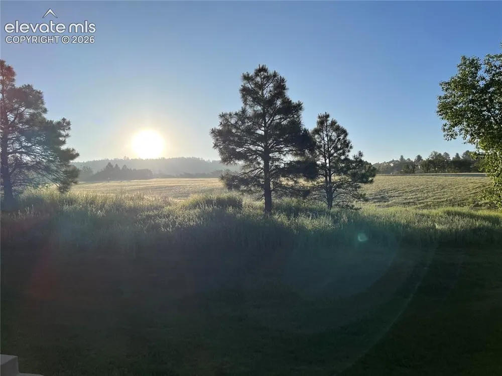 17067 Blue Mist Grove Monument, CO 80132