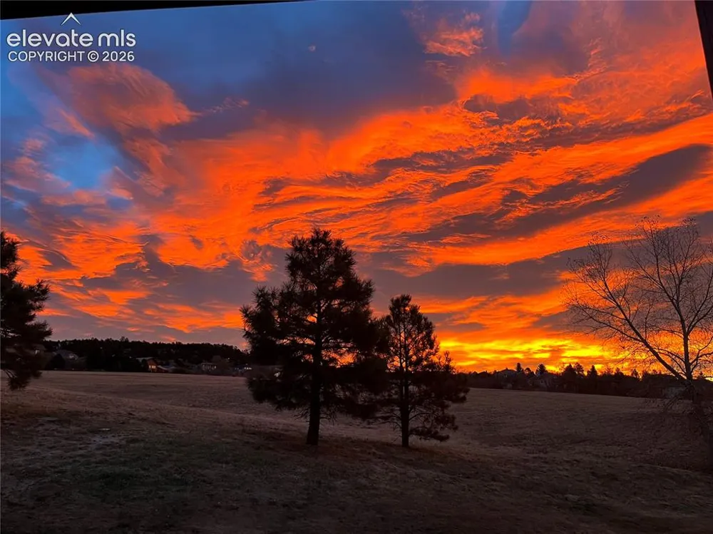 17067 Blue Mist Grove Monument, CO 80132