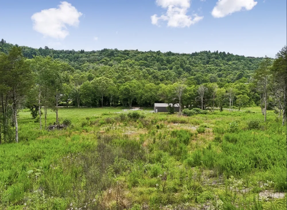97 Redd Branch Rd Fayetteville, TN 37334