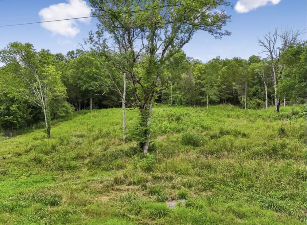 97 Redd Branch Rd Fayetteville, TN 37334