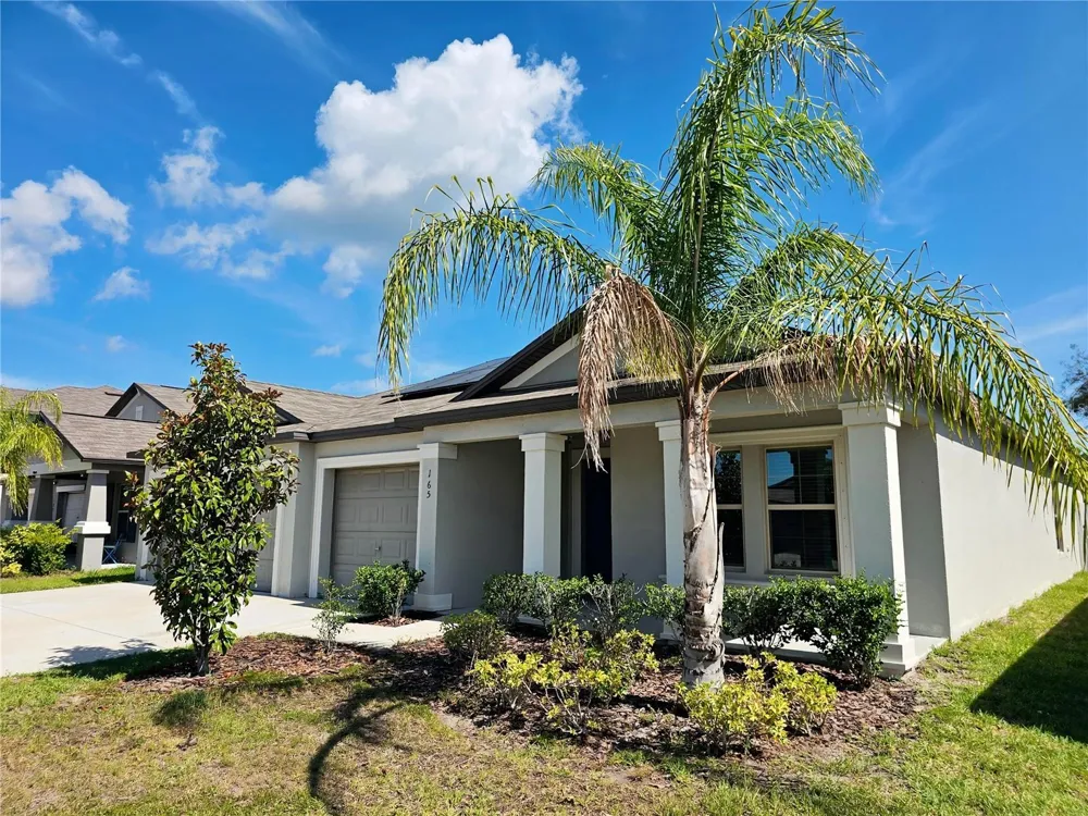 165 RAIN BERRY AVENUE Ruskin, FL 33570
