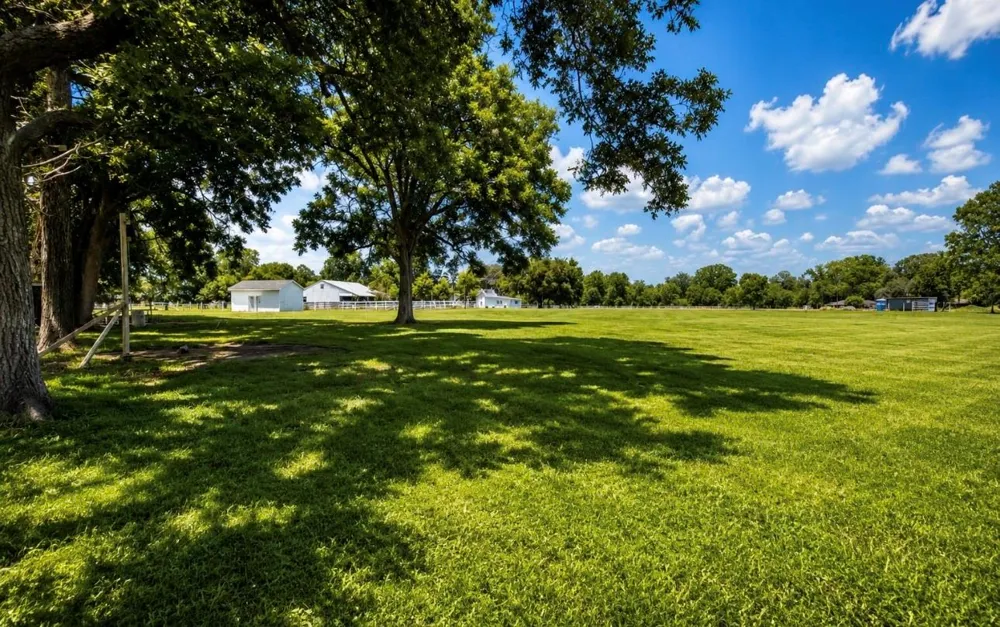 6322 County Road 42 Rosharon, TX 77583