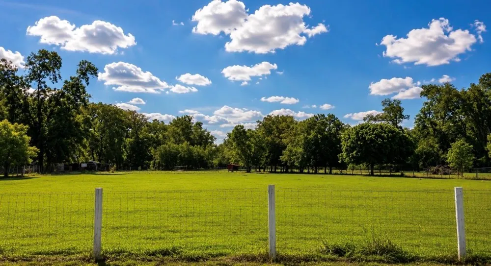 6322 County Road 42 Rosharon, TX 77583